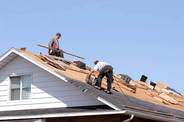 Best Commercial Roofing Services  in Murphy, MO