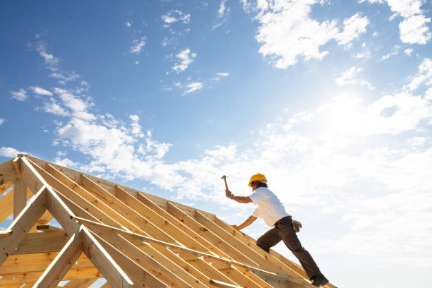 Best Solar Panel Roofing Installation  in Murphy, MO